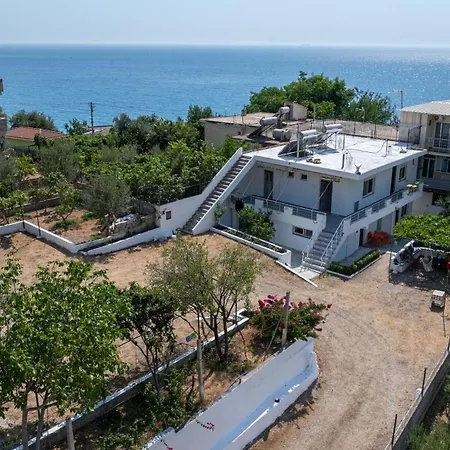 Vida House بورش