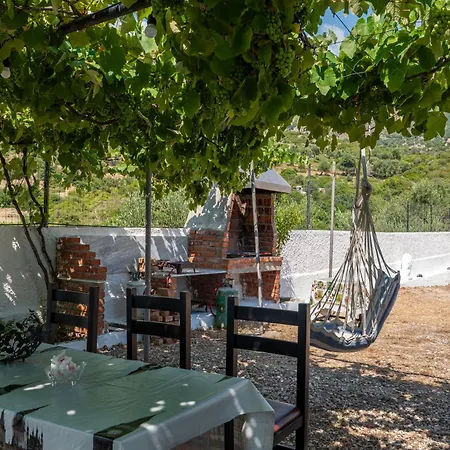 Vida House بيت ضيافة بورش