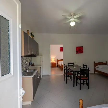 Affittacamere Vida House *
